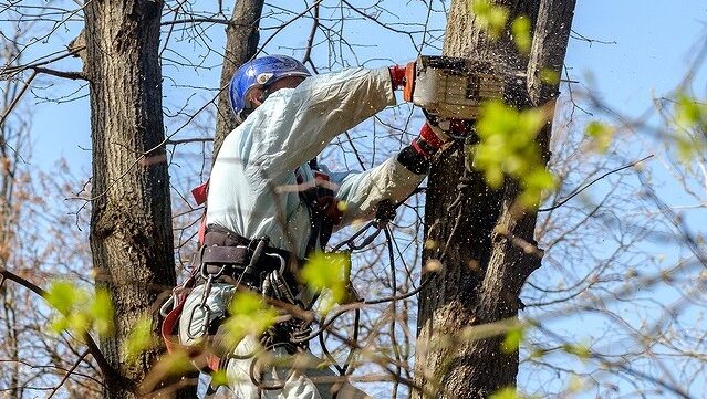 合同会社広至